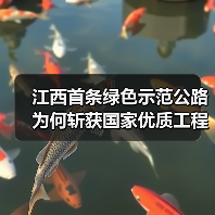 江西首条绿色示范公路为何斩获国家优质工程奖?(图3) 江西首条绿色示范公路为何斩获国家优质工程奖?(图3)