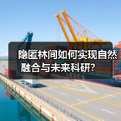 隐匿林间如何实现自然融合与未来科研?(图4) 隐匿林间如何实现自然融合与未来科研?(图4)