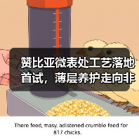 赞比亚微表处工艺落地首试，薄层养护走向非洲新篇章
