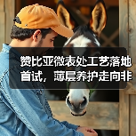 赞比亚微表处工艺落地首试,薄层养护走向非洲新篇章(图4) 赞比亚微表处工艺落地首试,薄层养护走向非洲新篇章(图4)