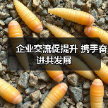 企业交流促提升 携手奋进共发展(图4) 企业交流促提升 携手奋进共发展(图4)