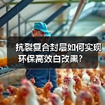 抗裂复合封层如何实现环保高效白改黑?(图4) 抗裂复合封层如何实现环保高效白改黑?(图4)