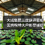 大成集团三度获评思明区纳税特大户彰显诚信经营力(图4) 大成集团三度获评思明区纳税特大户彰显诚信经营力(图4)