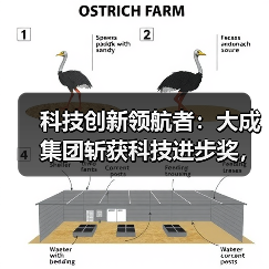 科技创新领航者:大成集团斩获科技进步奖,引领行业新标杆(图2) 科技创新领航者:大成集团斩获科技进步奖,引领行业新标杆(图2)