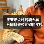 皮亚诺设计钱塘大学:林间科研校园如何实现自然融合? 皮亚诺设计钱塘大学:林间科研校园如何实现自然融合?