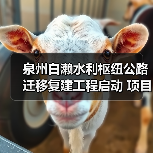 泉州白濑水利枢纽公路迁移复建工程启动 项目经理部揭牌护航交通线路(图3) 泉州白濑水利枢纽公路迁移复建工程启动 项目经理部揭牌护航交通线路(图3)