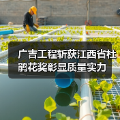 广吉工程斩获江西省杜鹃花奖彰显质量实力(图2) 广吉工程斩获江西省杜鹃花奖彰显质量实力(图2)