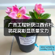 广吉工程斩获江西省杜鹃花奖彰显质量实力(图3) 广吉工程斩获江西省杜鹃花奖彰显质量实力(图3)