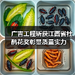 广吉工程斩获江西省杜鹃花奖彰显质量实力(图4) 广吉工程斩获江西省杜鹃花奖彰显质量实力(图4)