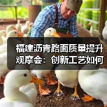 福建沥青路面质量提升观摩会：创新工艺如何助力项目突破？（图2）