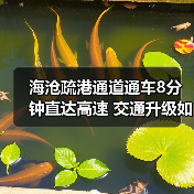 海沧疏港通道通车8分钟直达高速 交通升级如何改变出行效率? 海沧疏港通道通车8分钟直达高速 交通升级如何改变出行效率?