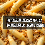 海沧疏港通道通车8分钟直达高速 交通升级如何改变出行效率?(图2) 海沧疏港通道通车8分钟直达高速 交通升级如何改变出行效率?(图2)