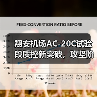 翔安机场AC-20C试验段质控新突破，攻坚阶段如何实现均匀密实？（图4）