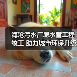 海沧污水厂尾水管工程竣工 助力城市环保升级(图2) 海沧污水厂尾水管工程竣工 助力城市环保升级(图2)