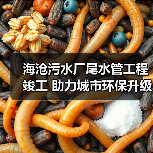 海沧污水厂尾水管工程竣工 助力城市环保升级 海沧污水厂尾水管工程竣工 助力城市环保升级