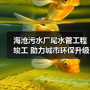 海沧污水厂尾水管工程竣工 助力城市环保升级(图3) 海沧污水厂尾水管工程竣工 助力城市环保升级(图3)