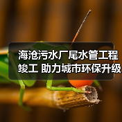 海沧污水厂尾水管工程竣工 助力城市环保升级(图4) 海沧污水厂尾水管工程竣工 助力城市环保升级(图4)