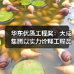 华东优质工程奖:大成集团以实力诠释工程品质(图3) 华东优质工程奖:大成集团以实力诠释工程品质(图3)