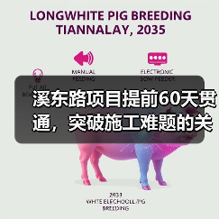 溪东路项目提前60天贯通,突破施工难题的关键策略(图2) 溪东路项目提前60天贯通,突破施工难题的关键策略(图2)