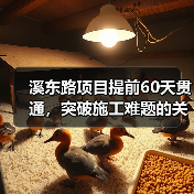 溪东路项目提前60天贯通,突破施工难题的关键策略(图4) 溪东路项目提前60天贯通,突破施工难题的关键策略(图4)