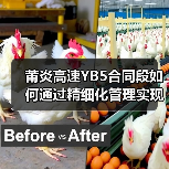 莆炎高速YB5合同段如何通过精细化管理实现高质量通车?(图2) 莆炎高速YB5合同段如何通过精细化管理实现高质量通车?(图2)