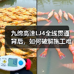 九绵高速LJ4全线贯通背后，如何破解施工难题？（图2）