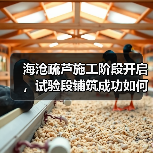 海沧疏芦施工阶段开启，试验段铺筑成功如何确保质量？
