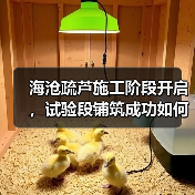 海沧疏芦施工阶段开启,试验段铺筑成功如何确保质量?(图2) 海沧疏芦施工阶段开启,试验段铺筑成功如何确保质量?(图2)