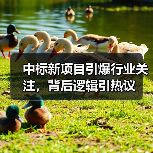 中标新项目引爆行业关注，背后逻辑引热议（图2）