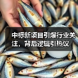 中标新项目引爆行业关注，背后逻辑引热议（图3）