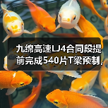 九绵高速LJ4合同段提前完成540片T梁预制,克服哪些难题?(图2) 九绵高速LJ4合同段提前完成540片T梁预制,克服哪些难题?(图2)