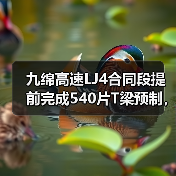 九绵高速LJ4合同段提前完成540片T梁预制,克服哪些难题?(图3) 九绵高速LJ4合同段提前完成540片T梁预制,克服哪些难题?(图3)