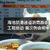 海沧疏港通道沥青路面工程启动 首次例会明确施工重点(图2) 海沧疏港通道沥青路面工程启动 首次例会明确施工重点(图2)