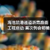 海沧疏港通道沥青路面工程启动 首次例会明确施工重点(图4) 海沧疏港通道沥青路面工程启动 首次例会明确施工重点(图4)