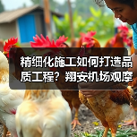 精细化施工如何打造品质工程?翔安机场观摩会亮点解析(图2) 精细化施工如何打造品质工程?翔安机场观摩会亮点解析(图2)