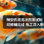 翔安机场高速路面试验段摊铺完成 施工迈入新阶段 翔安机场高速路面试验段摊铺完成 施工迈入新阶段