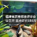 福建省沥青标准评审会议召开 重点研究SBS改性沥青技术（图3）