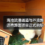 海沧疏港通道与芦澳路沥青路面项目正式启航（图3）