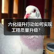 六化提升行动如何实现工程质量升级? 六化提升行动如何实现工程质量升级?