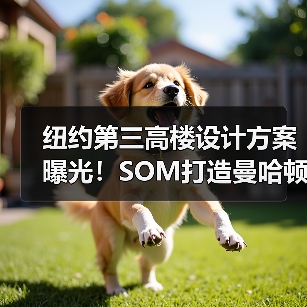 纽约第三高楼设计方案曝光!SOM打造曼哈顿新地标(图2) 纽约第三高楼设计方案曝光!SOM打造曼哈顿新地标(图2)