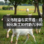 义乌隧道右洞贯通：机械化施工如何助力冲刺年度目标？（图3）