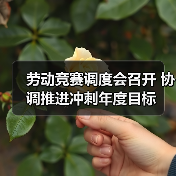 劳动竞赛调度会召开 协调推进冲刺年度目标（图2）