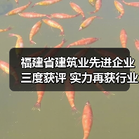 福建省建筑业先进企业三度获评 实力再获行业认可（图2）