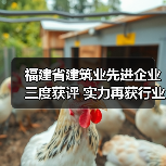 福建省建筑业先进企业三度获评 实力再获行业认可（图4）