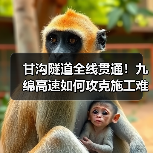 甘沟隧道全线贯通！九绵高速如何攻克施工难题？（图2）