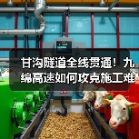 甘沟隧道全线贯通！九绵高速如何攻克施工难题？（图3）