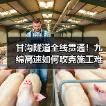 甘沟隧道全线贯通！九绵高速如何攻克施工难题？（图4）