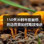 150天冲刺年度目标,劳动竞赛如何高效推进? 150天冲刺年度目标,劳动竞赛如何高效推进?