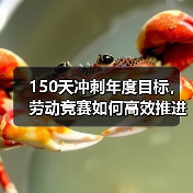 150天冲刺年度目标，劳动竞赛如何高效推进？（图3）