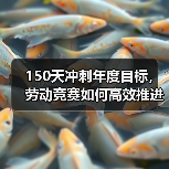150天冲刺年度目标，劳动竞赛如何高效推进？（图4）